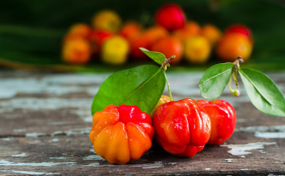 fruit acerola