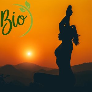 Spiruline Acerola Sport Bio